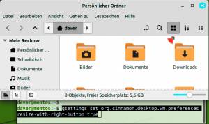 Cinnamon: Fenster einfacher dimensionieren