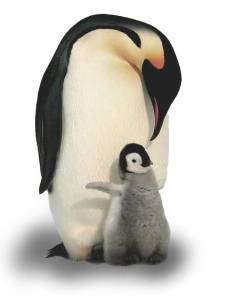 Linux-News im Oktober 2021