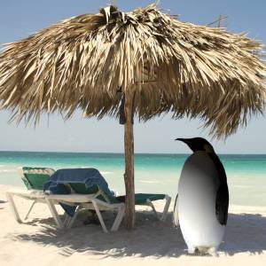 Linux-News im Februar 2022