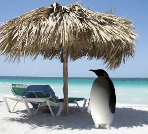 Linux-News im Oktober 2019