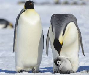 Linux-News im August 2023