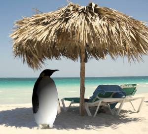 Linux-News im Oktober 2020