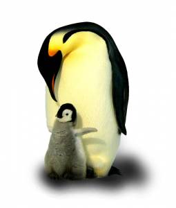 LinuxNews im Januar 2020