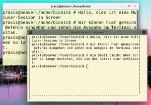 Screen: Treffen auf der Kommandozeile