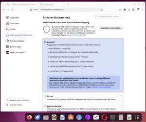 Welche Browser sind sicher?
