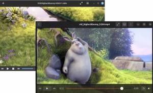 Programme für Audio, Video und Bilder