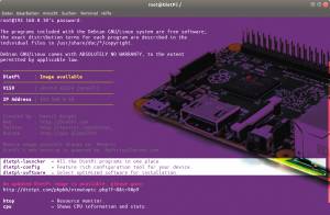 Diet Pi: Raspberry Pi auf Diät