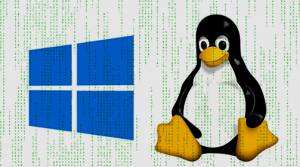 Windows-Daten unter Linux